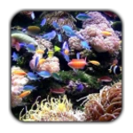 Logo of Tropical Aquarium Live Wallpaper android Application 